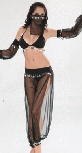 sexy Dancer costume